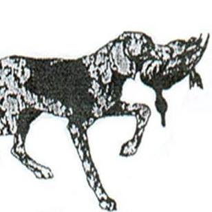 The Dog & Duck Public House and Restaurant