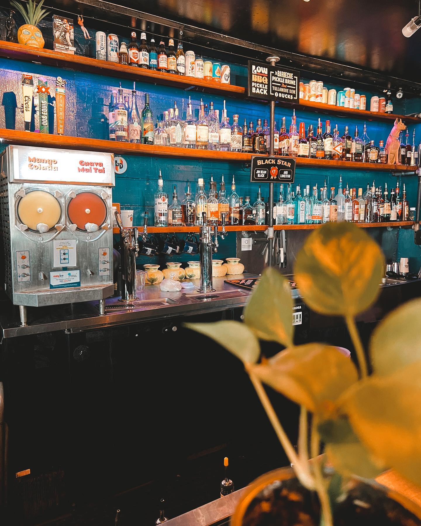 Low Down Lounge