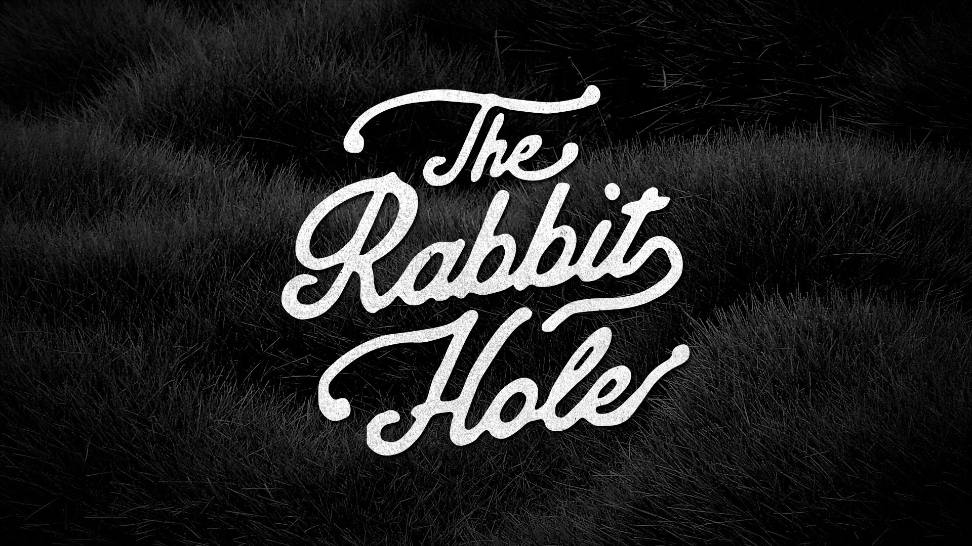 The Rabbit Hole