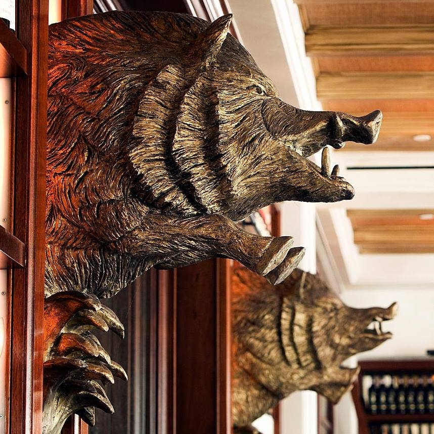 Cinghiale