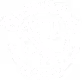 The Old Shillelagh