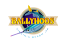 Ballyhoos