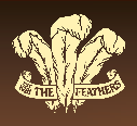 The Feathers Pub