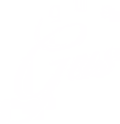 Gus Gus