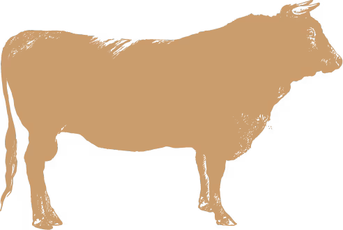 El Che Steakhouse & Bar