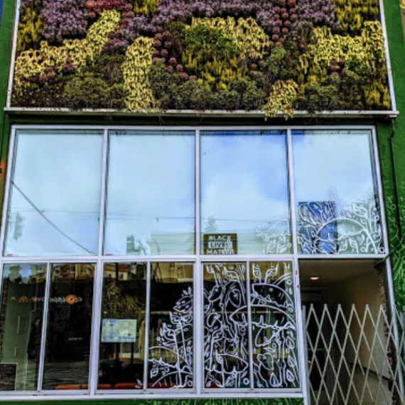 MeloMelo Kava Bar