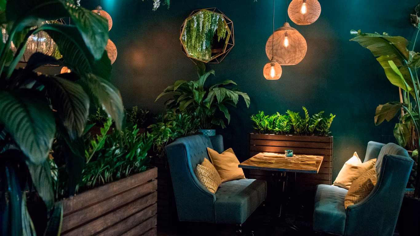Sourbon Kitchen & Bar