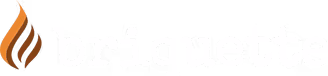 Briquette