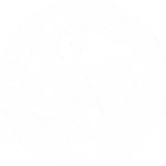 Sports & Social Philly