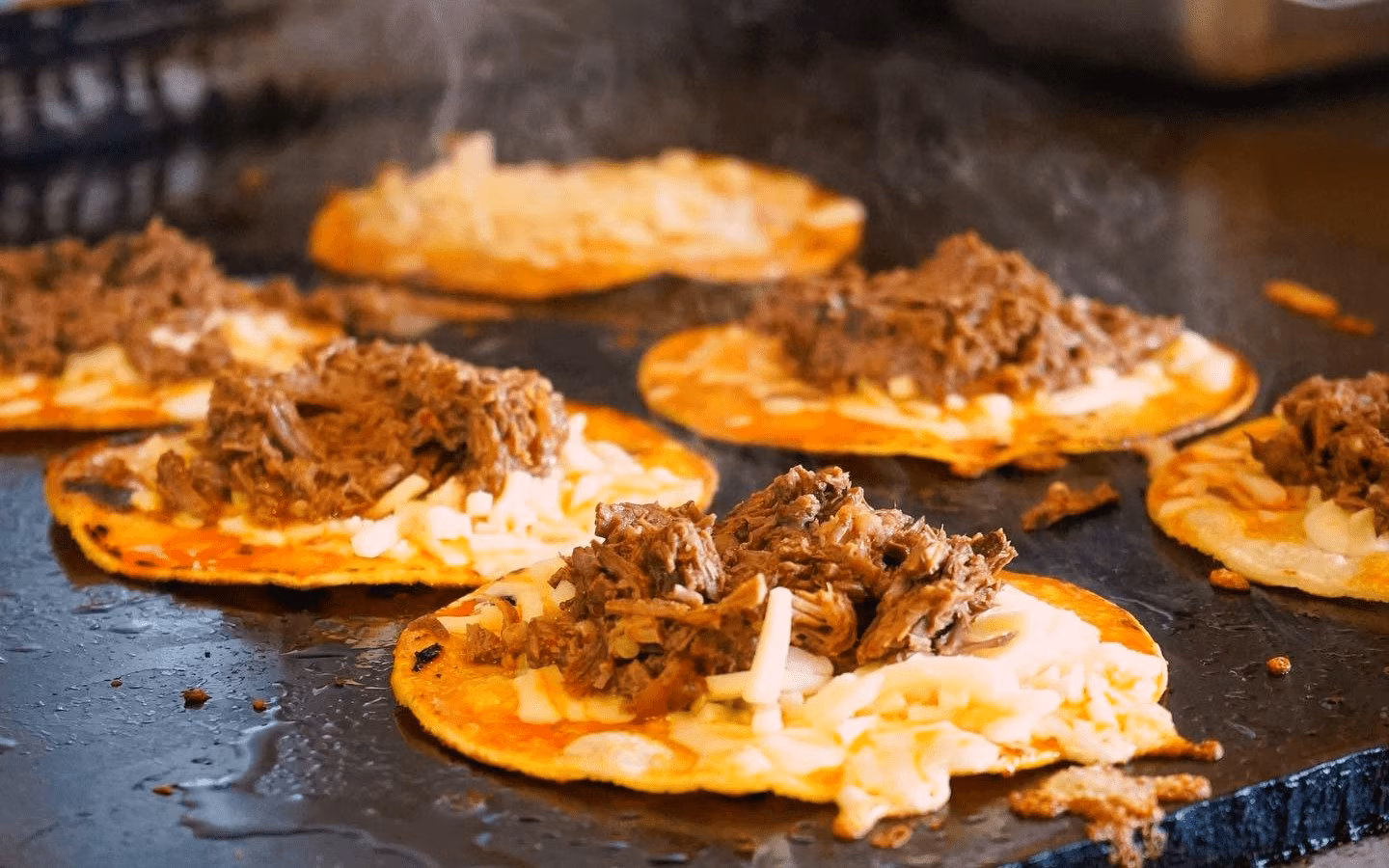 Taco-Tastic ll