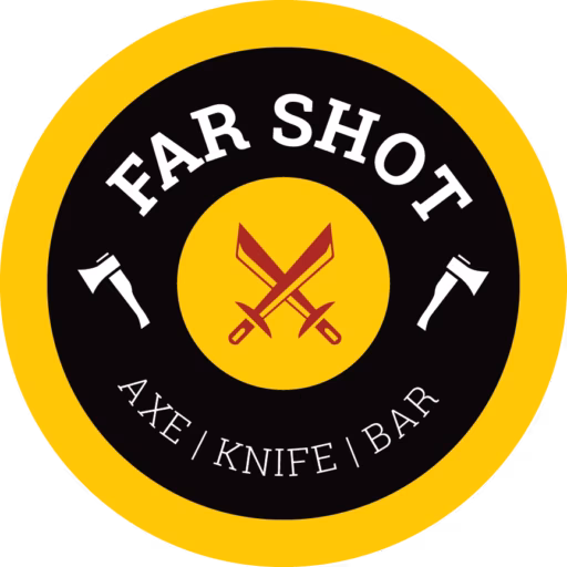 Far Shot Albany