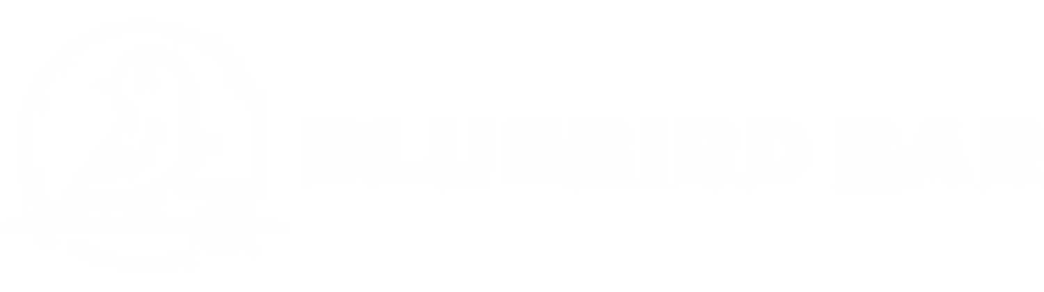 The Bluebird Bar