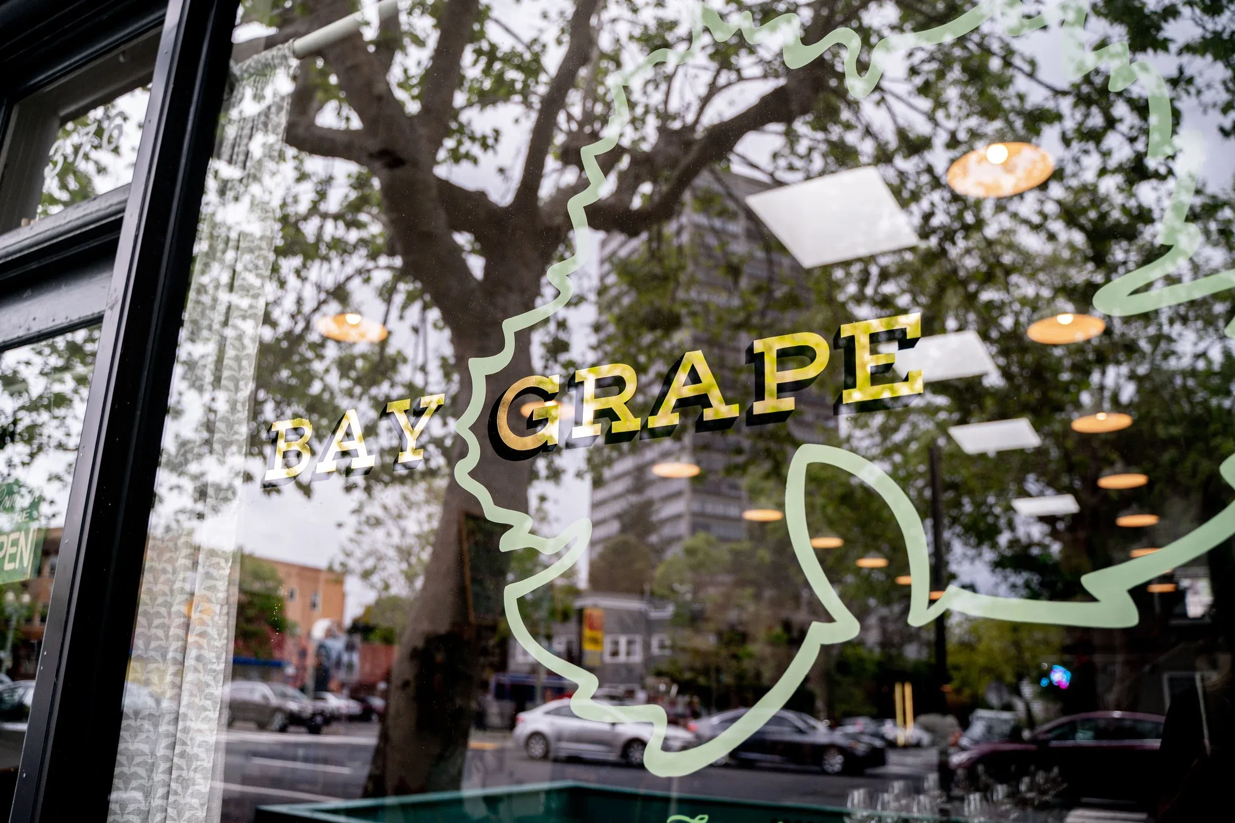 Bay Grape