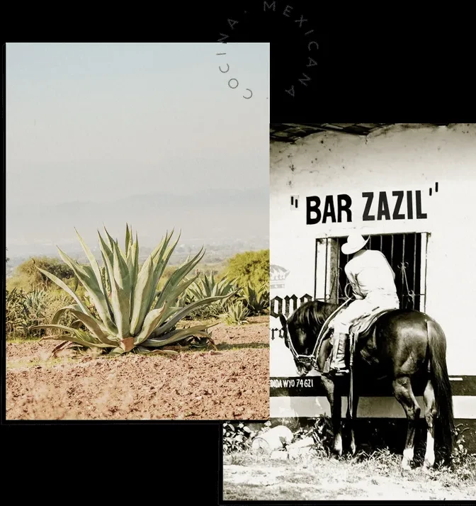Zazil